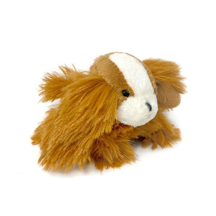 Pipsqueak Dog Breeds Toys - Rocky & Maggie's Pet Boutique and Salon