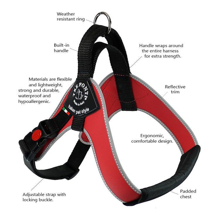 Brio Harness - Rocky & Maggie's Pet Boutique and Salon