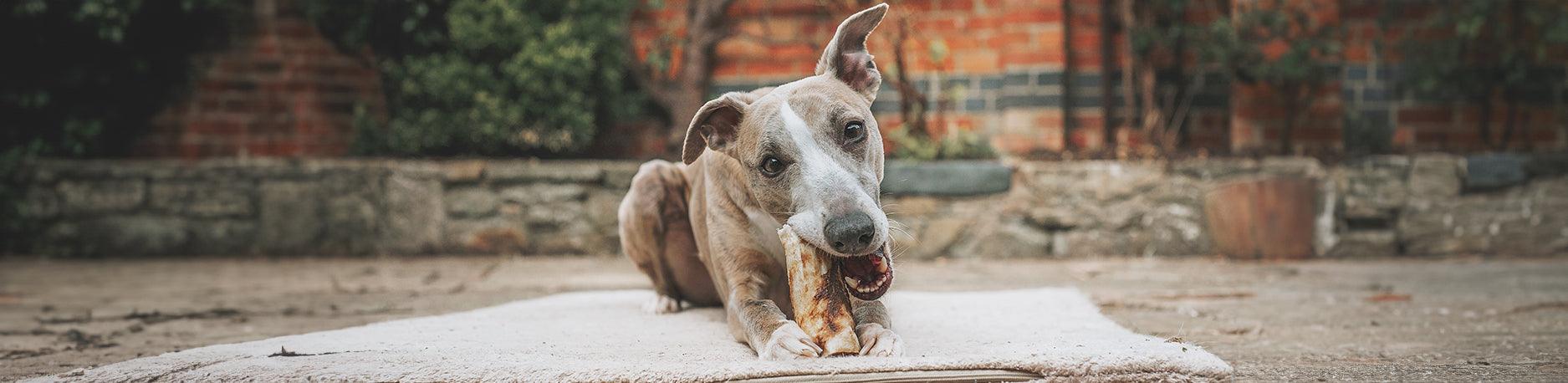 Dog Treats - Rocky & Maggie's Pet Boutique and Salon